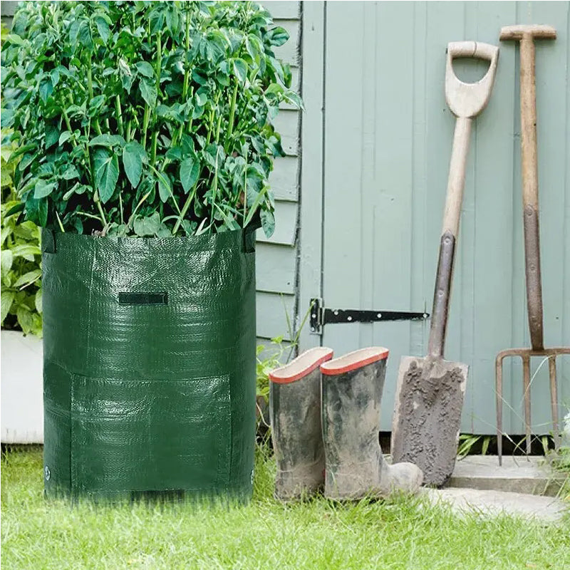 10 Gallon -6 Pack Potato Grow Bags, Heavy Duty PE Fabric Pots With Flap And Handles, Green Planter Bags For Potato Vegetables Outdoor Garden, For All Plants Growing